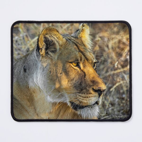Item preview, Intense Lioness designed and sold by Kay Brewer.