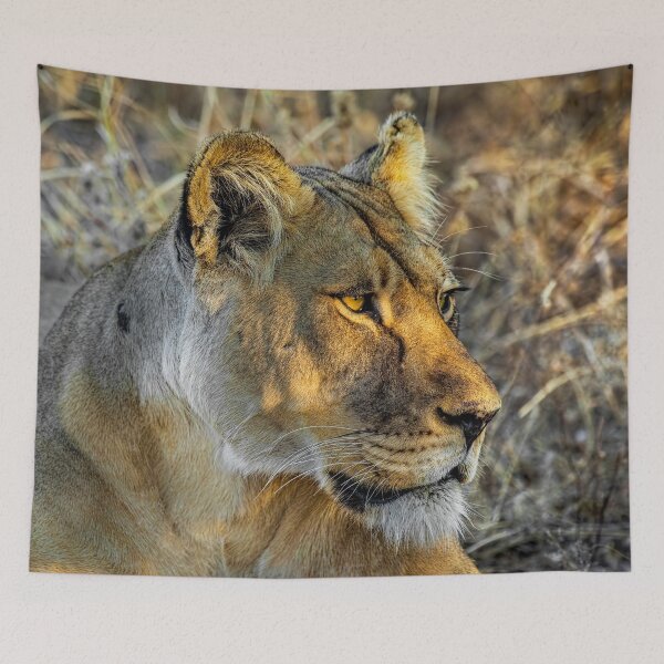 Item preview, Intense Lioness designed and sold by Kay Brewer.