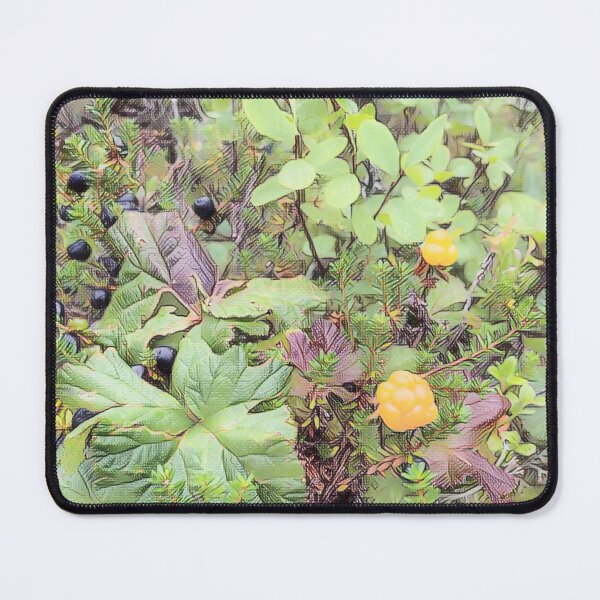 Item preview, Cloudberries and Crowberries - evalaaksart - A piece of Finland designed and sold by evalaaksart.