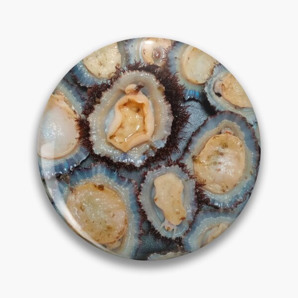 Item preview, Grilled limpets designed and sold by Gaspar Avila.