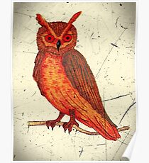 Owl Watercolor with Scratch Digital Overlay Poster