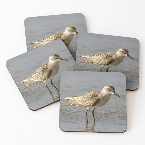 Item preview, Sandpiper designed and sold by Tom McPherson Photography.