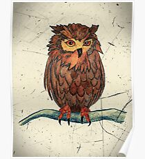 Owl Watercolor with Scratch Digital Overlay Poster