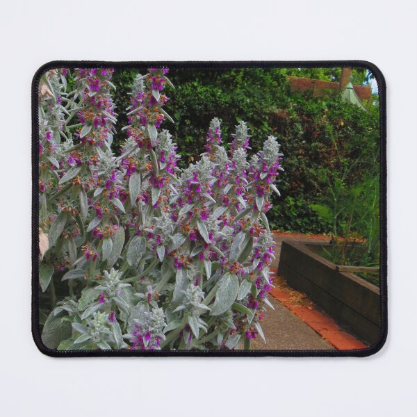 Item preview, Purple Foliage designed and sold by Sandra Willis.