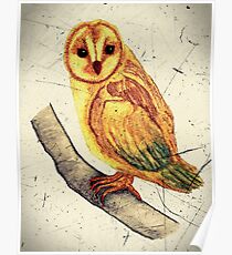 Owl Watercolor with Scratch Digital Overlay Poster