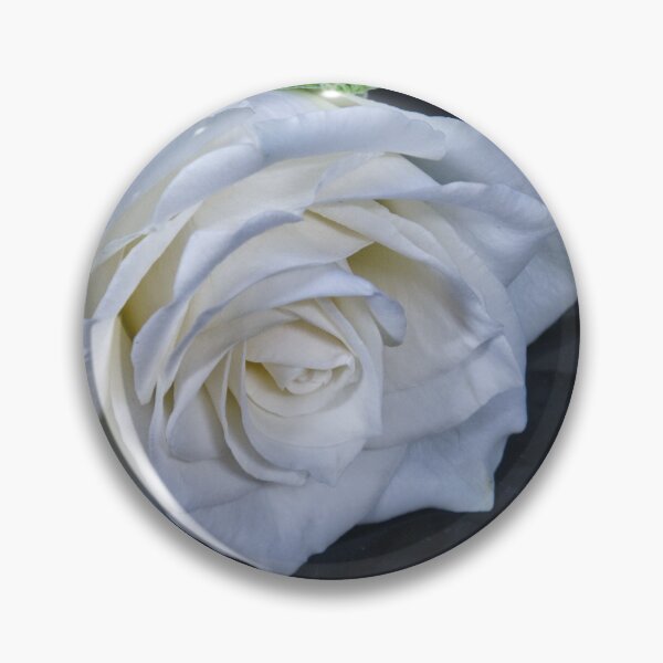 Item preview, Single White Rose designed and sold by jalfc46.