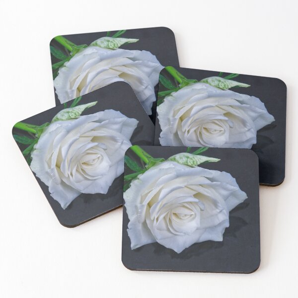 Item preview, Single White Rose designed and sold by jalfc46.