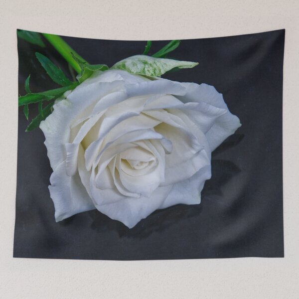 Item preview, Single White Rose designed and sold by jalfc46.