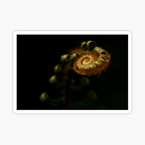 Item preview, #1376 - Infinity designed and sold by MyInnereyeMike.