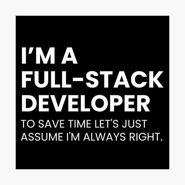 Artikel-Vorschau von Ich bin ein Full-Stack-Entwickler, um Zeit zu sparen. Nehmen wir einfach an, dass ich immer Recht habe. Lustiges Coding, designt und verkauft von Youcan2.