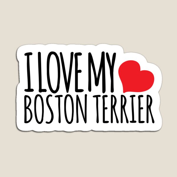 I LOVE MY BOSTON TERRIER Magnet