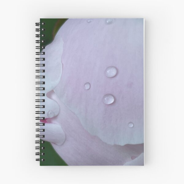 Item preview, Raindrops on Soft Pink Petals designed and sold by ChrisOnBubble.