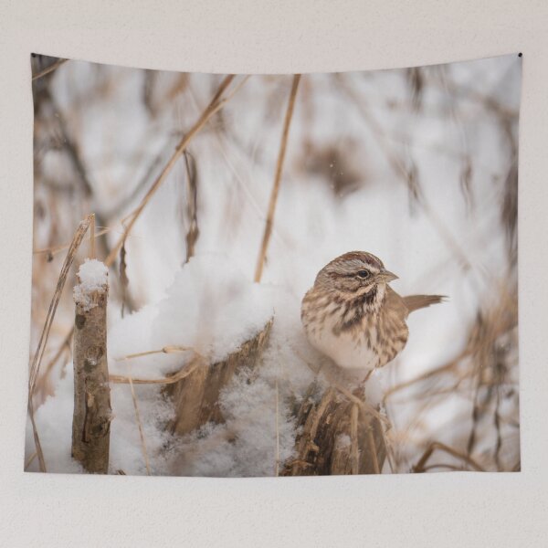 Item preview, Bird Song Sparrow designed and sold by HectorCantres.