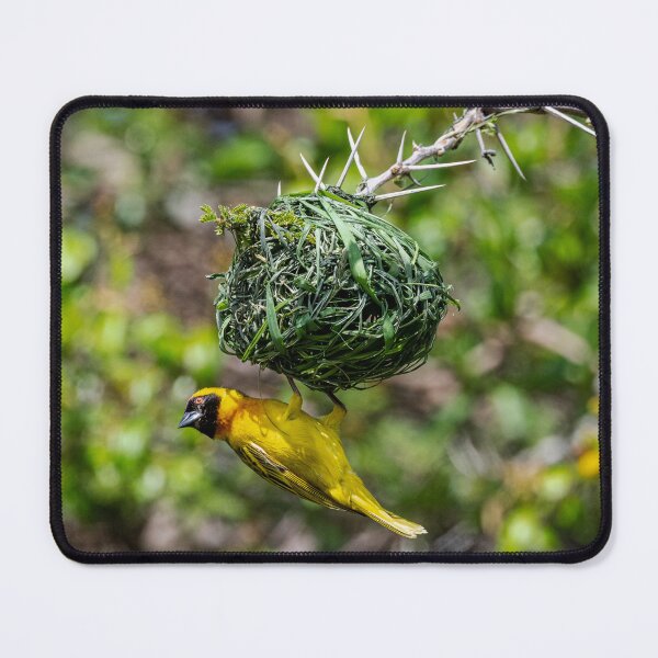 Item preview, Masked Weaver designed and sold by Your search is over, it’s here! .