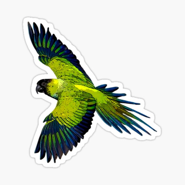 Item preview, Nanday Parakeet Flying Color Design  designed and sold by designsasstultd.