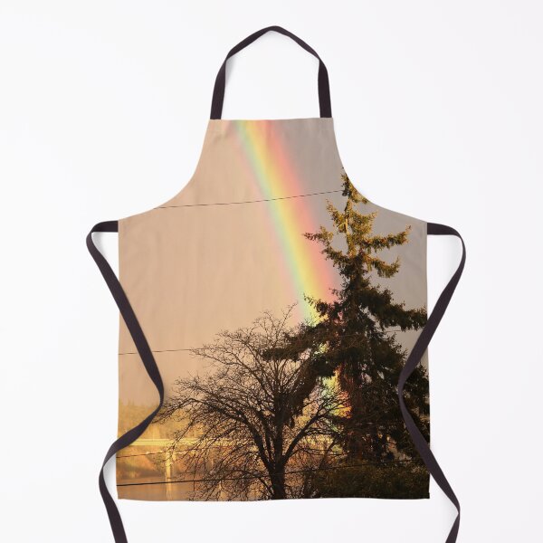 Item preview, Rainbow at Warren Avenue Bridge, Bremerton designed and sold by jzmurdock.