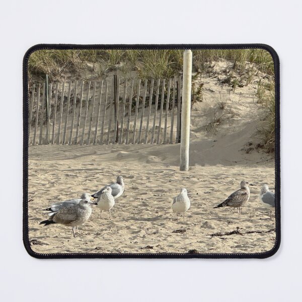 Item preview, Cape Cod beach designed and sold by Misty’s Page.