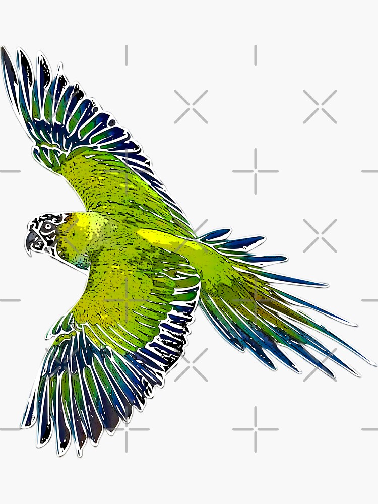 Nanday Parakeet Flying White Alternate Design Sticker for Sale