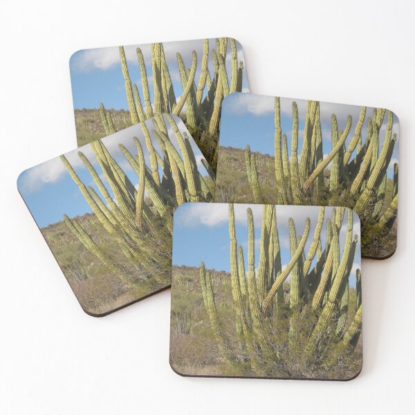 Artikelvorschau, Wunderschönes Organ Pipe Cactus National Monument, Arizona, USA - Echtes Foto entworfen und verkauft von tumbleweedphoto.