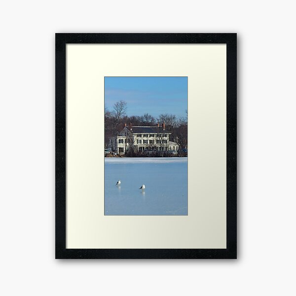 Buckelew in Blue with Birds Framed Art Print