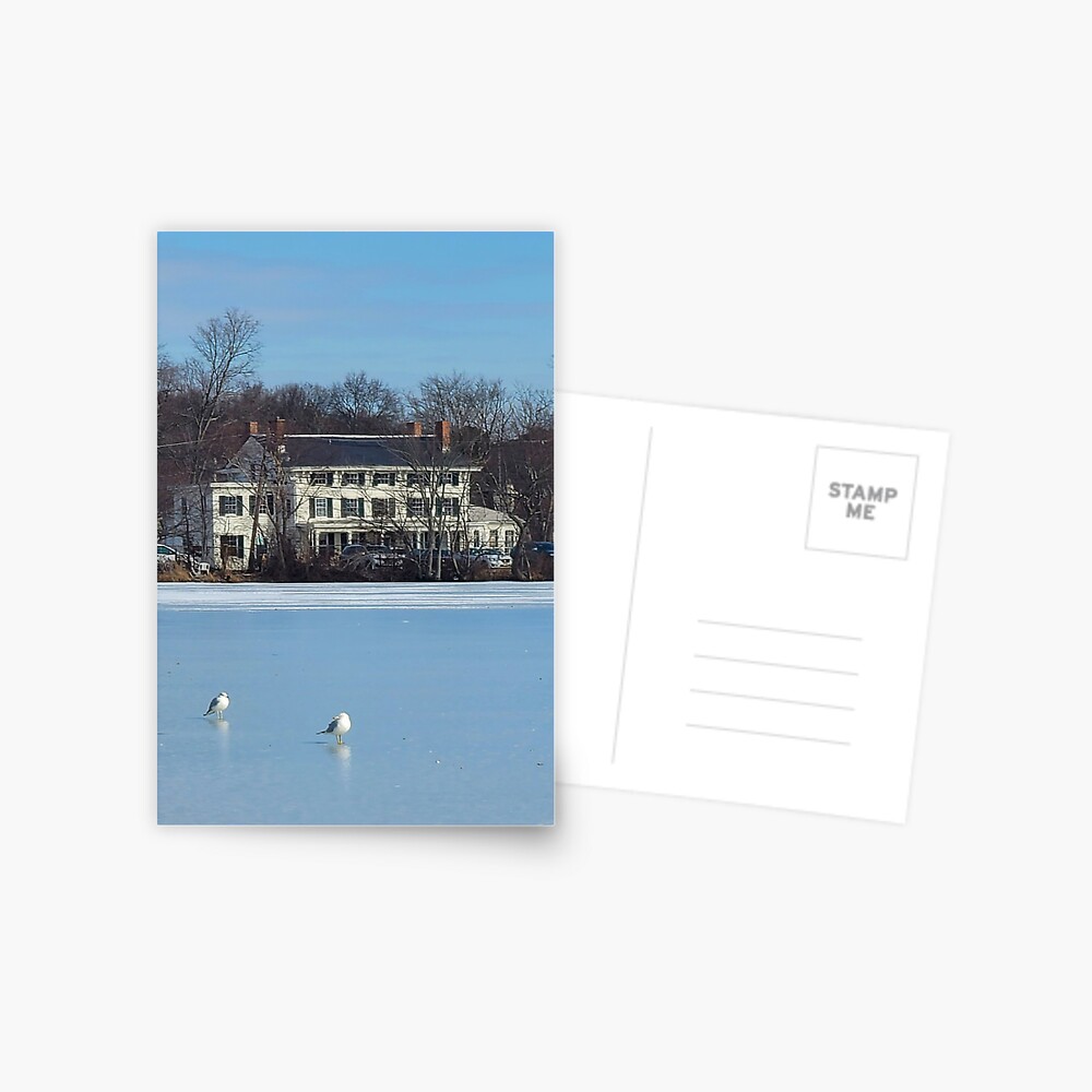 Item preview, Postcard designed and sold by westwind16.