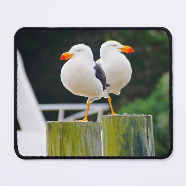 Item preview, Gull-able  designed and sold by D-GaP.