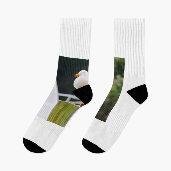 Item preview, Gull-able  designed and sold by D-GaP.