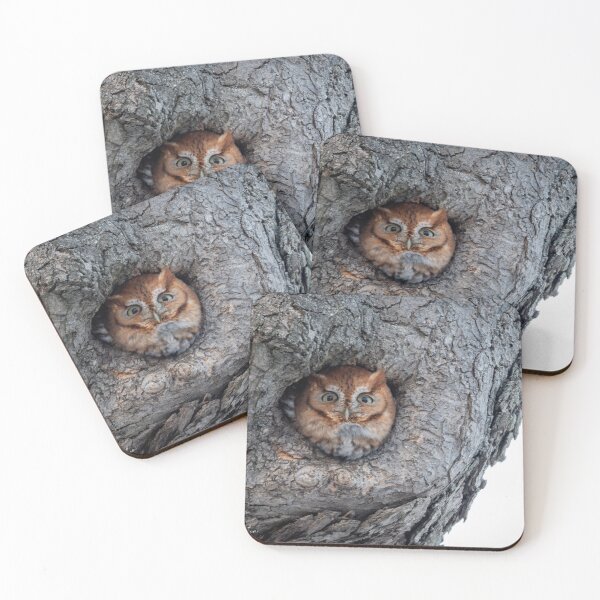 Item preview, Red Morph Eastern Screech-Owl designed and sold by Fotos4Fun.