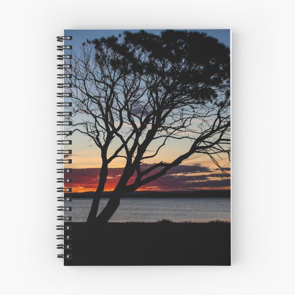 Item preview, Sunset at Belmont South Foreshore Park designed and sold by Mathew Reed.