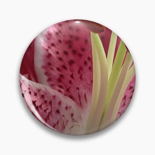 Artikelvorschau, Stargazer Lily entworfen und verkauft von Betsy Phillips.