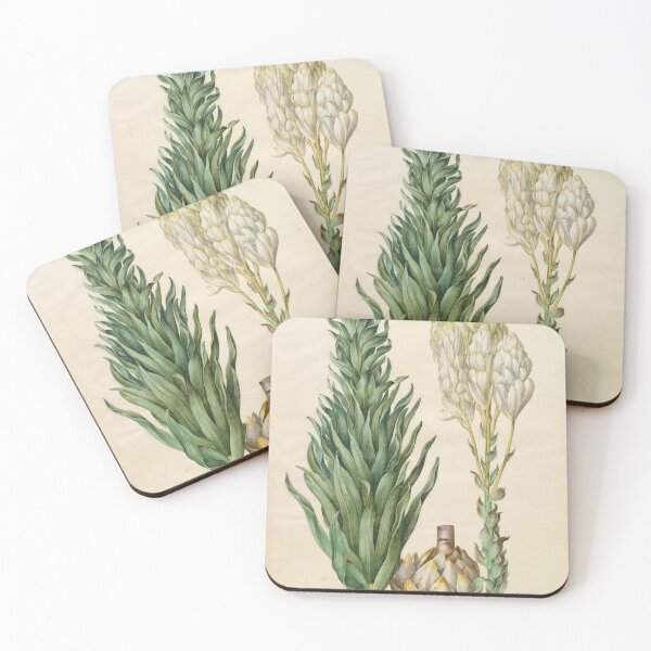 Item preview, Lilium candidum monstrosum designed and sold by mayanobu.