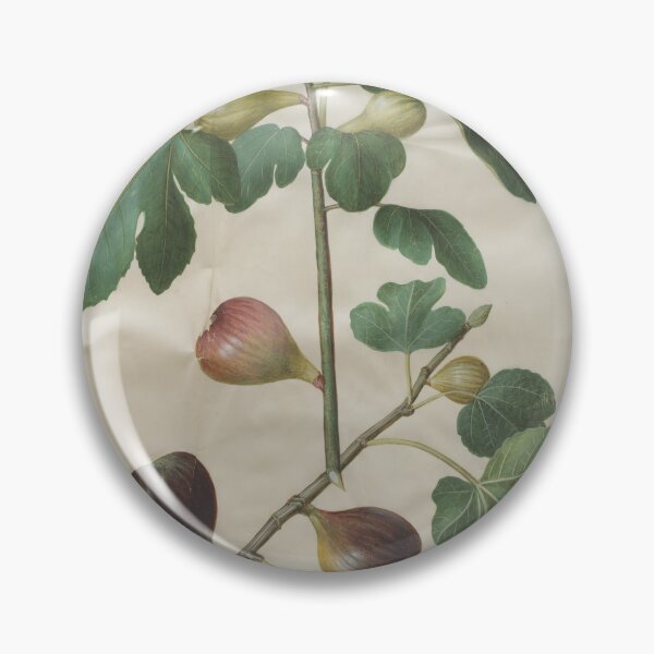 Item preview, Ficus carica designed and sold by mayanobu.
