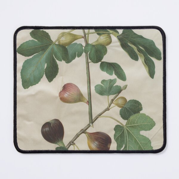 Item preview, Ficus carica designed and sold by mayanobu.