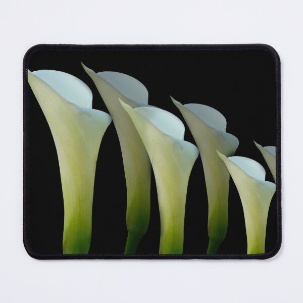 Item preview, Tathra 30a - (c) ben yassa designed and sold by beny .