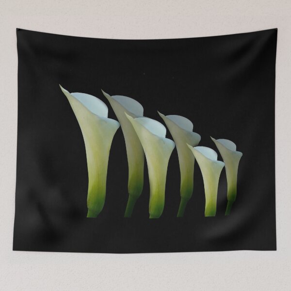 Item preview, Tathra 30a - (c) ben yassa designed and sold by beny .