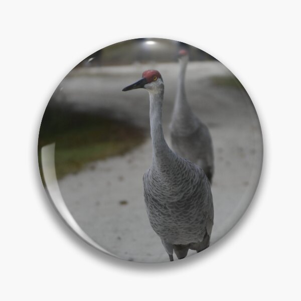 Item preview, Walking At The Orlando Wetlands Park  designed and sold by MercerImages.