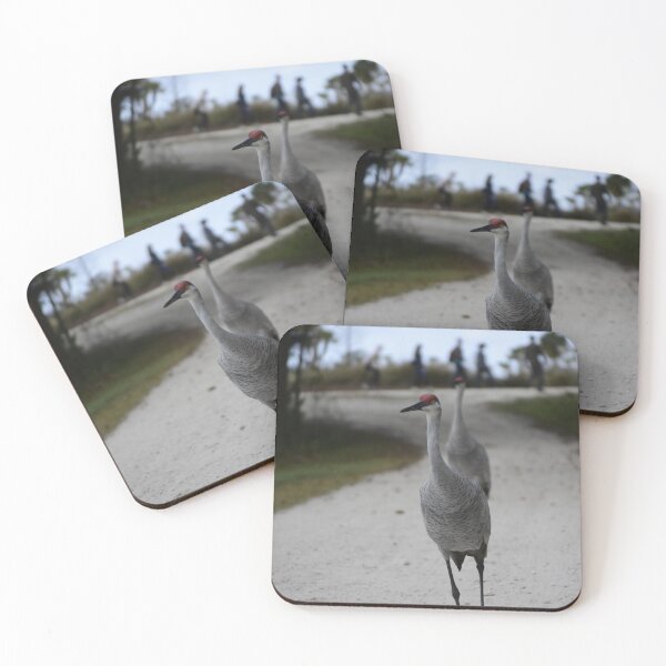 Item preview, Walking At The Orlando Wetlands Park  designed and sold by MercerImages.