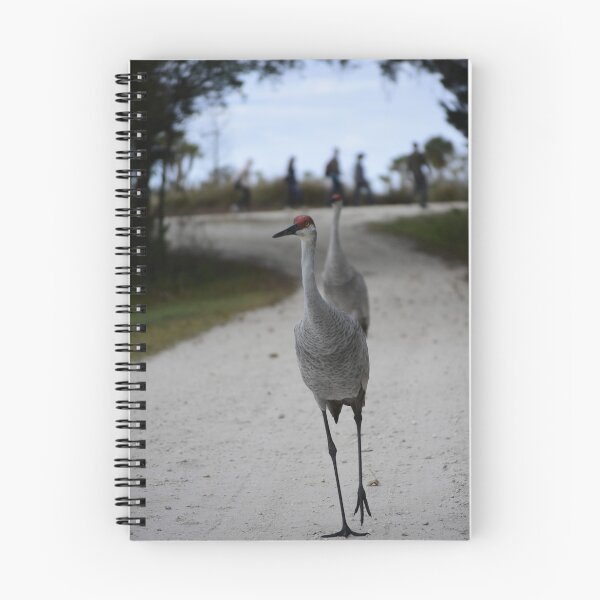 Item preview, Walking At The Orlando Wetlands Park  designed and sold by MercerImages.