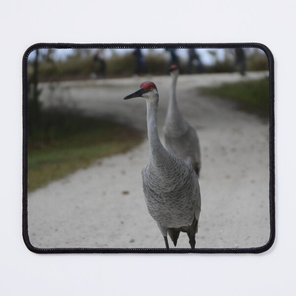 Item preview, Walking At The Orlando Wetlands Park  designed and sold by MercerImages.