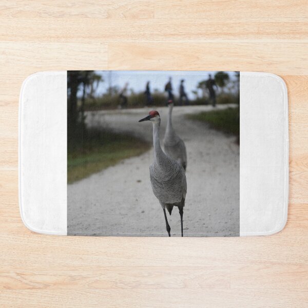 Item preview, Walking At The Orlando Wetlands Park  designed and sold by MercerImages.