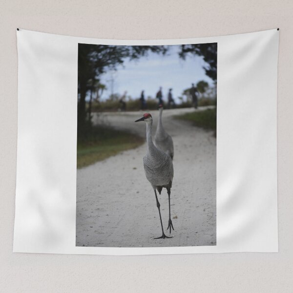 Item preview, Walking At The Orlando Wetlands Park  designed and sold by MercerImages.