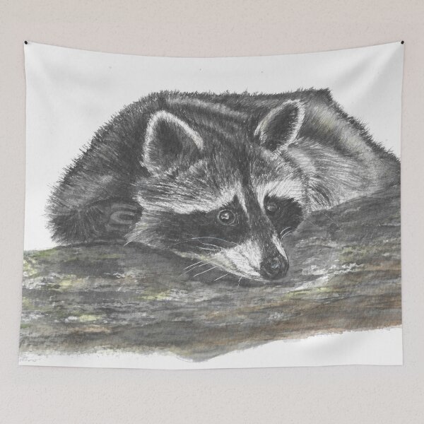 Item preview, A curious raccoon designed and sold by AquarelJanine.
