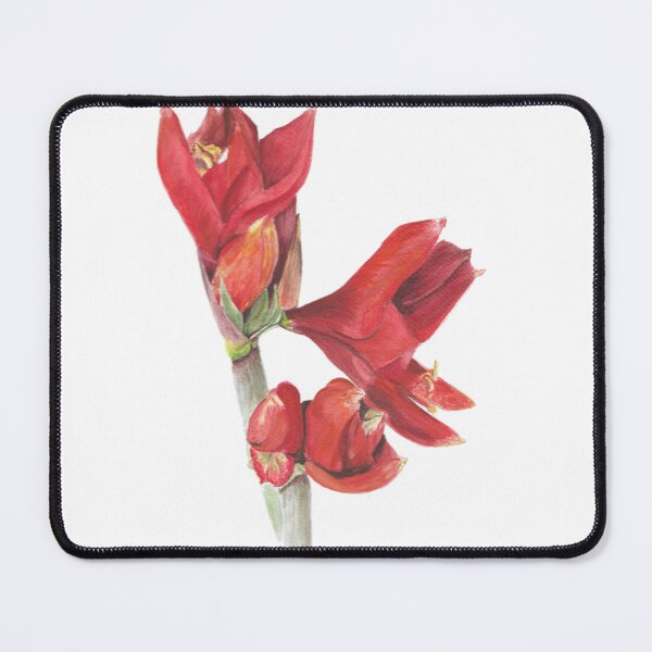 Item preview, Red amaryllis designed and sold by AquarelJanine.