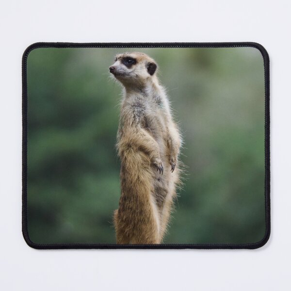 Item preview, Scanning for Danger designed and sold by madisonmuir5.