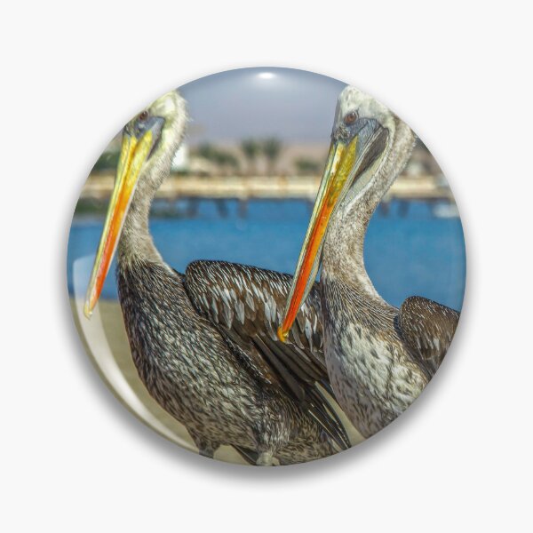 Item preview, Two Peruvian pelicans designed and sold by Photopat.