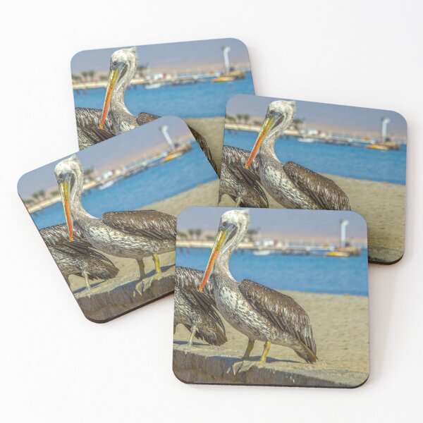 Item preview, Two Peruvian pelicans designed and sold by Photopat.