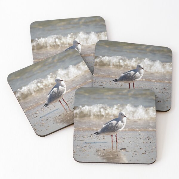 Item preview, Seagull standing on the shore designed and sold by imaginethis.