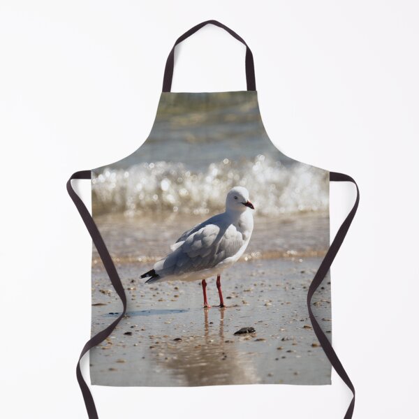Item preview, Seagull standing on the shore designed and sold by imaginethis.