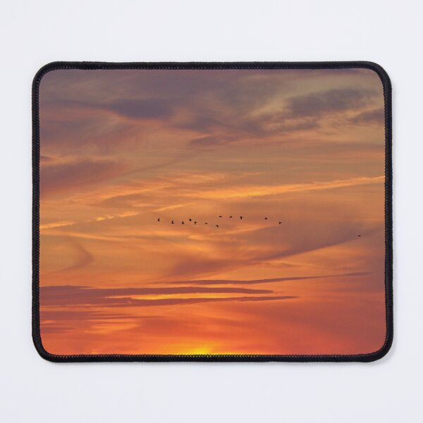 Item preview, Sunset birds designed and sold by AntonyGRobinson.