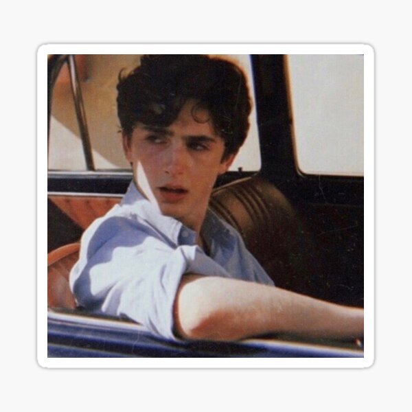 TimotheƩ Chalamet Sticker